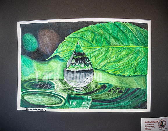 2025 OLSM Art Show - Art Selections - TJP (26 of 237)