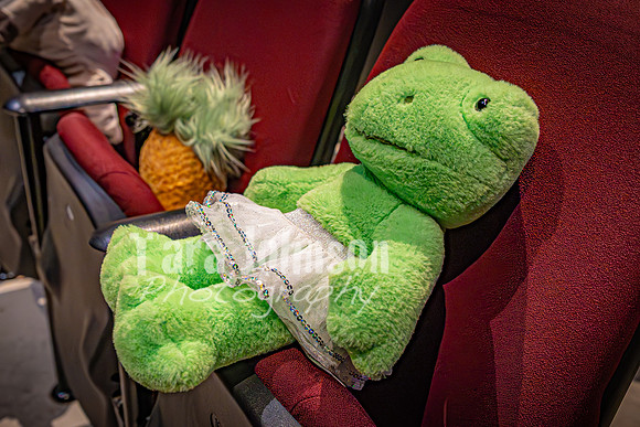 25 MTC - VIP - Candids - TJP (36 of 130)