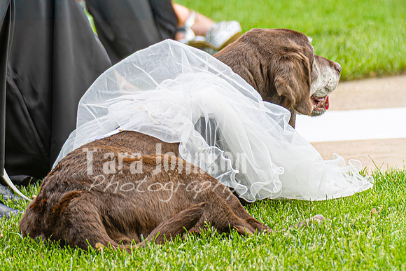 Josh & Deanna Klann Wedding - Allison Richards (15 of 40)