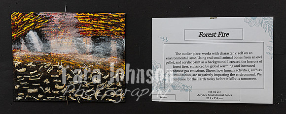 22 IAW Art Exhibition- Selections - TJP (18 of 63)
