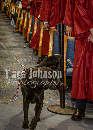 25 U of D - Entrance - DH (101 of 124)