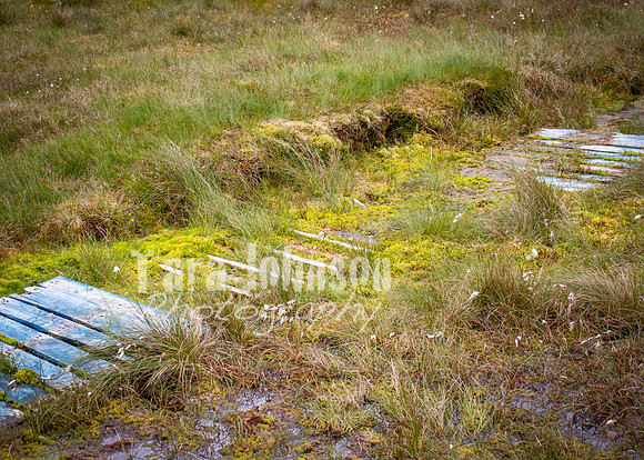 Benbulbin Mountain Trip (29 of 139)