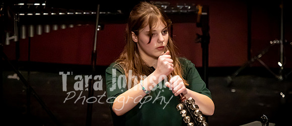 (web banners) 22 Winter OVMS - Band MM  (@ 72 ppi & 10 MB max) (9 of 21)