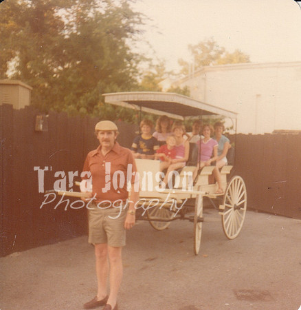 1975 St. Louis Horse cart