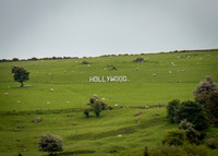 Glendalough Field Trip (12 of 117)
