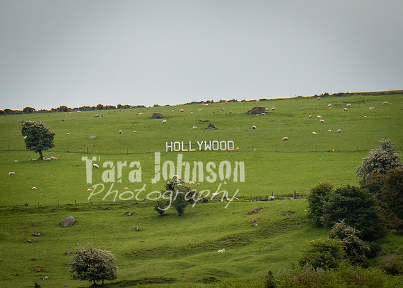 Glendalough Field Trip (12 of 117)