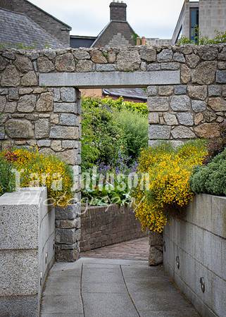 Dublin Castle - The Garden (13 of 36)