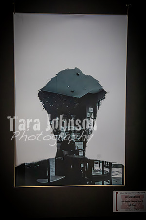 2024 MHS Spring Art Show - TJP (12 of 16)
