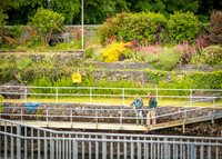 Galway Day Trip - Riverside Walk (4 of 57)
