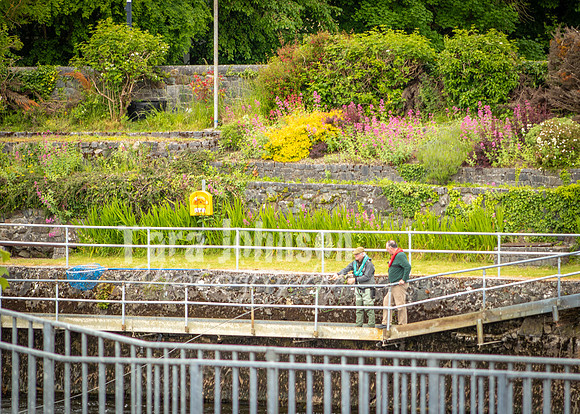 Galway Day Trip - Riverside Walk (4 of 57)