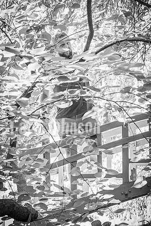 Claire Jones @ Cranbrook - BW - TJP (44 of 100)
