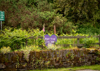 Glendalough Field Trip (26 of 117)