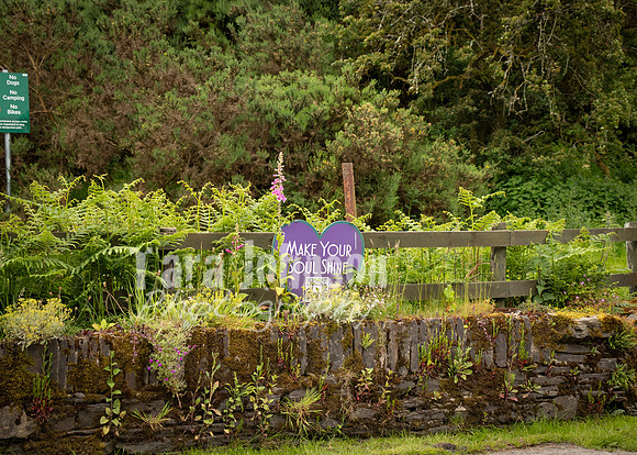 Glendalough Field Trip (26 of 117)