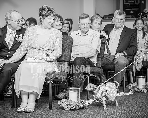 Mitch & Kelly - Complete - BW - TJP (177 of 731)