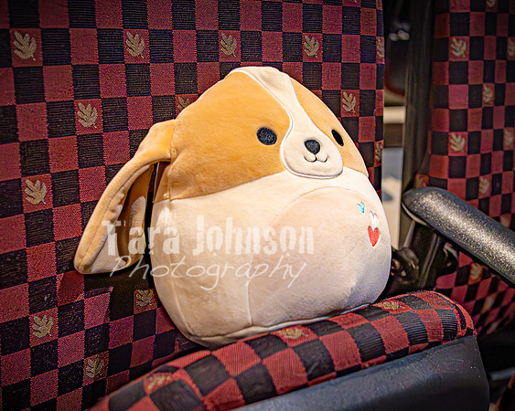 25 MTC - VIP - Candids - TJP (20 of 130)