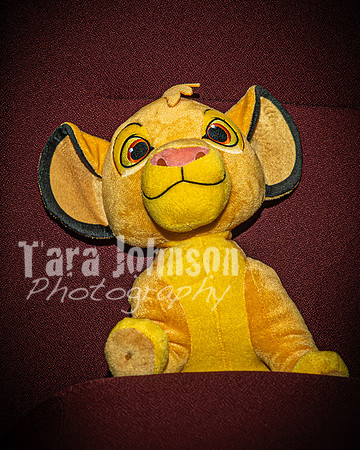 2025 Rising Stars - Matilda Jr. - Supersoft Opening - TJP (15 of 42)