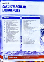 OEC - Objectives and Key Terms (15 of 39)