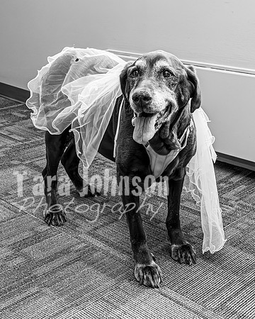 J. & D. Klann - Complete in BW - TJP (12 of 685)