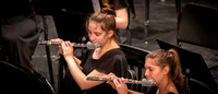 (web) 22 Winter MHS - MS Band Concert (Banners @ 72 ppi & 10 MB max) - TJP (3 of 33)