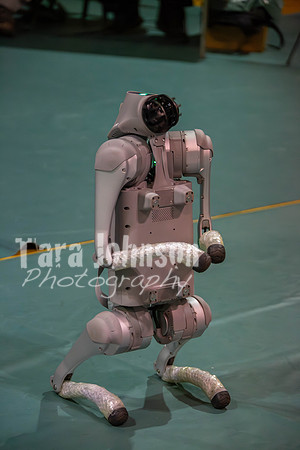 WSURobotics2025 (16 of 496)