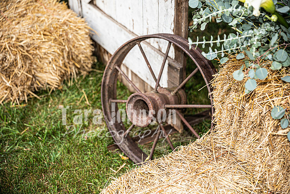 Zack & Emmy - Venue - TJP (24 of 84)