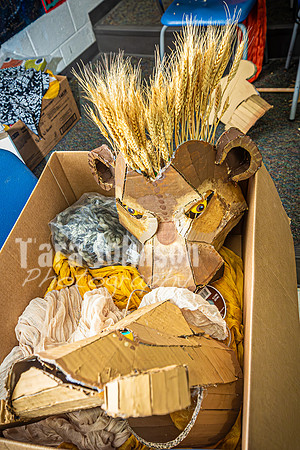 OVMS Theatre - Lion King - Candids - TJP (9 of 67)