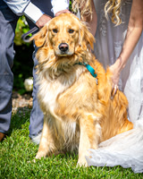 Doug & Bridget Law - Venue - TJP (159 of 551)