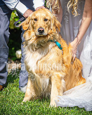 Doug & Bridget Law - Venue - TJP (159 of 551)