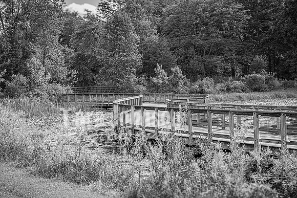Ron & Michelle - Complete - BW - TJP (66 of 341)