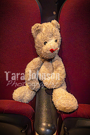 25 MTC - VIP - Candids - TJP (48 of 130)