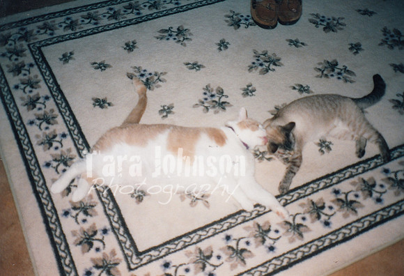 1995 Sam & Suky
