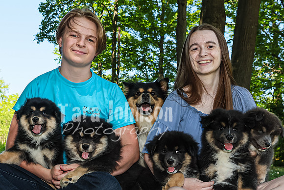 Bryde Family & Finish Lapphund Pups - TJP (37 of 60)