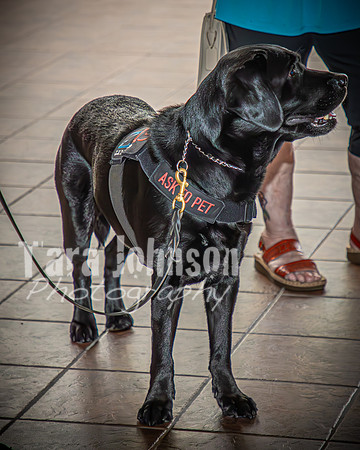 2024 HHS-AE Graduation - Candids - TJP (124 of 189)