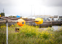 Galway Day Trip - Waterfront View (15 of 104)