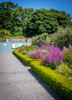 Phoenix Park Trip (20 of 40)