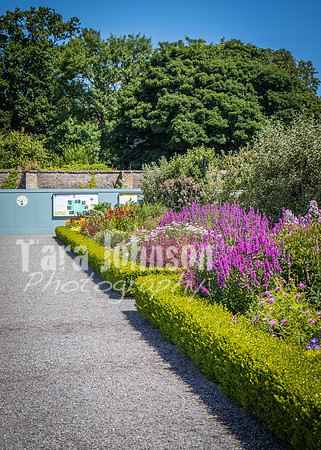 Phoenix Park Trip (20 of 40)