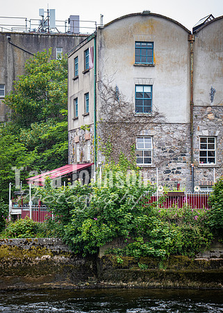 Galway Day Trip - Riverside Walk (41 of 57)