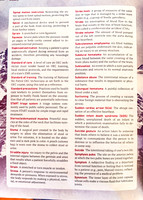 OEC - Glossary (16 of 18)