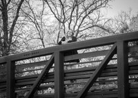 24 Senior Photos - Grace Fitzgerald B&W (17 of 171)