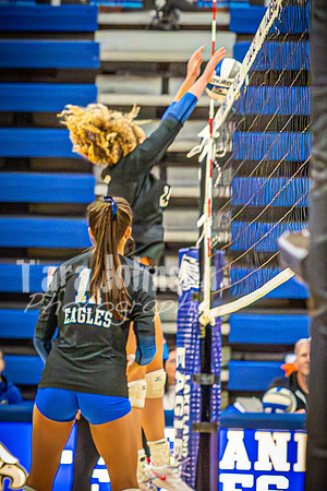 2024 LHS Vball - Senior Night vs. Mott 9-24 - TJP (49 of 120)