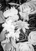 24 M. & K. Eaton Wedding [Full Collection B&W] - DH (13 of 352)
