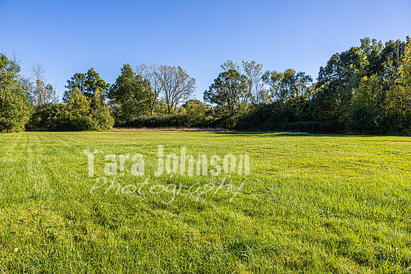 Homestead - 1350 N. Iva St.(8 MB max) - TJP (29 of 81)