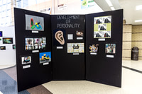 22 IAW Art Exhibition- Full EX - TJP (16 of 18)