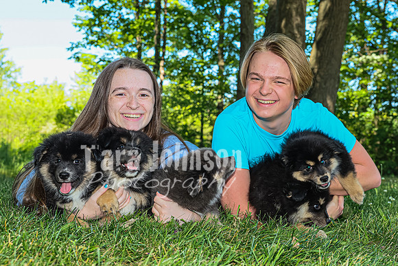 Bryde Family & Finish Lapphund Pups - TJP (50 of 60)