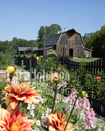 Doug & Bridget Law - Venue - TJP (3 of 18)