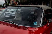 HOLLY.8.27.25 (6 of 43)
