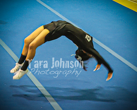 2022 LHS Cheer - HC Pep Assembly - TJP (28 of 61)