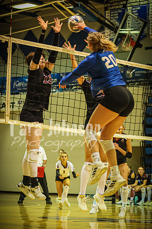 2022 LHS Volleyball 10-8 vs. Northern - TJP (39 of 66)
