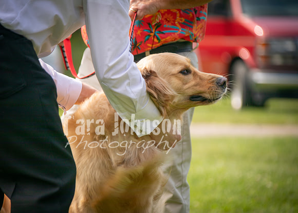 24 D & B Law Wedding - Full Collection (145 of 308)