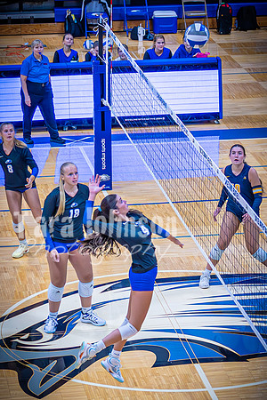 25 LHS Vball vs. WLC - TJP (100 of 104)